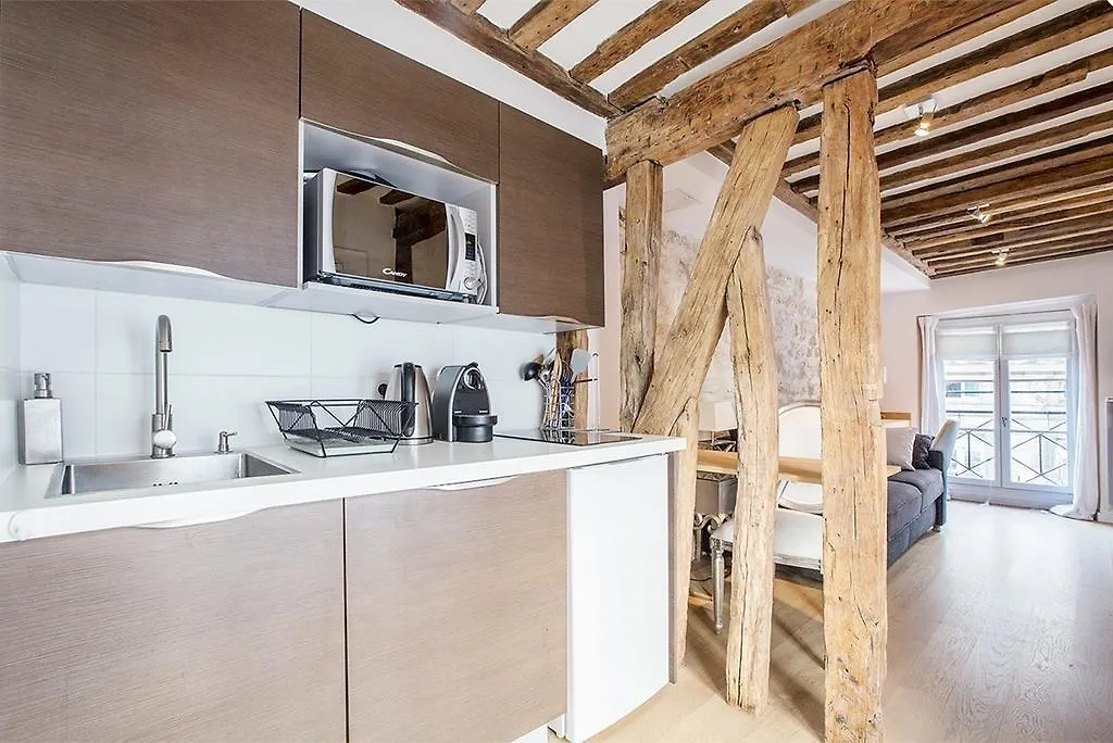 Louvre Apartment *